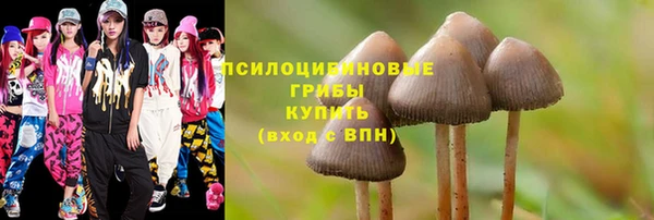 прущие крисы Балабаново