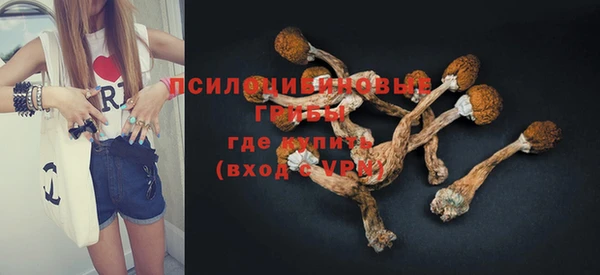 PSILOCYBIN Балахна